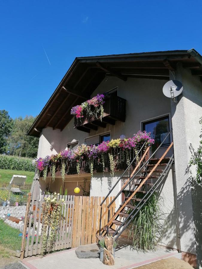 Ferienwohnung Egelkraut Schwarzenbach an der Saale المظهر الخارجي الصورة
